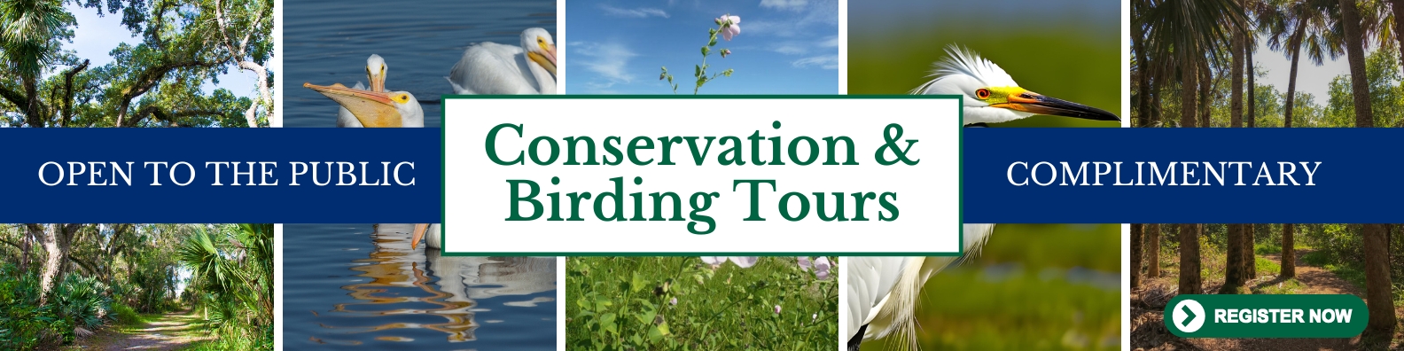 Conservation and Birding Tours