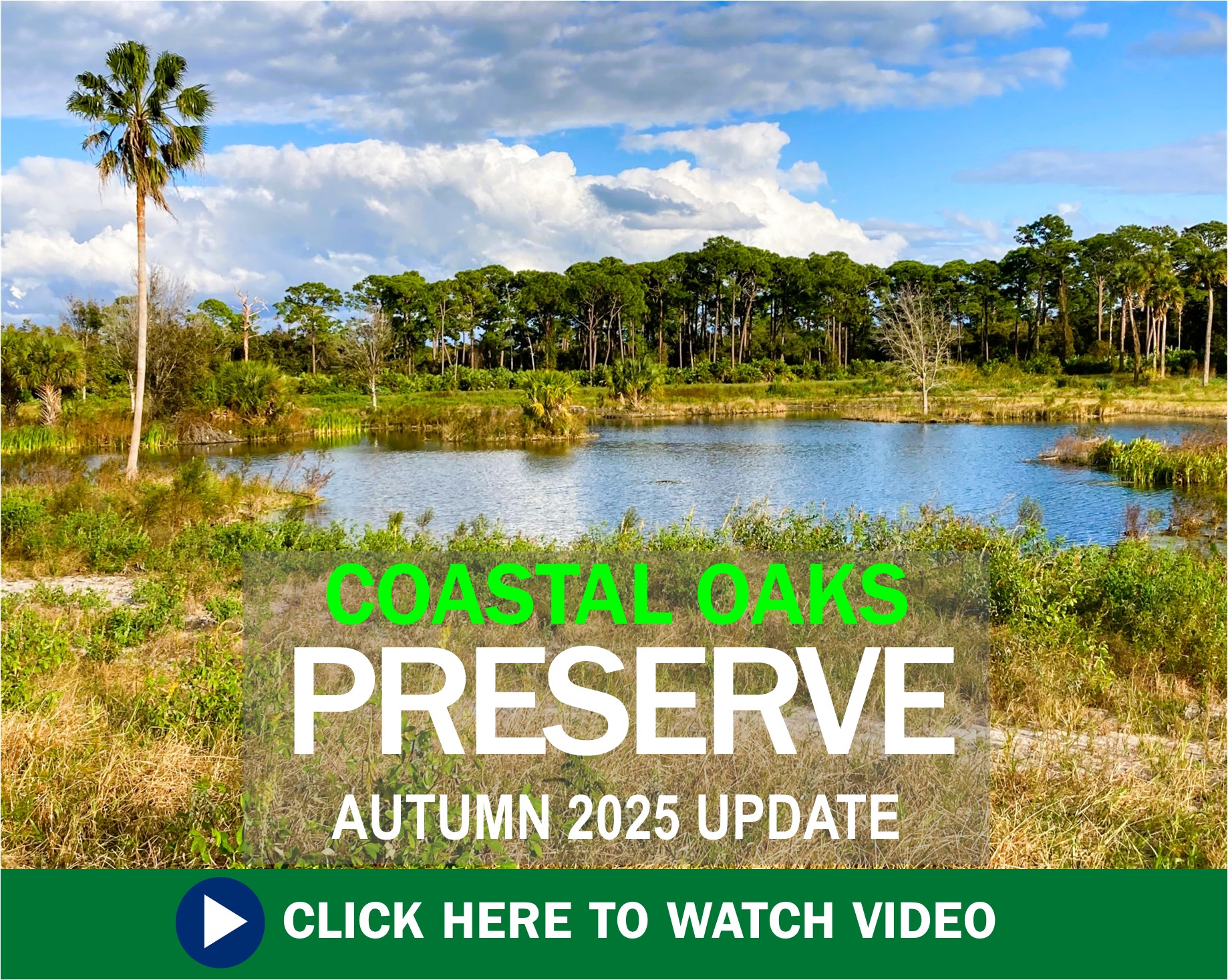Fall Progress Underway at Coastal Oaks Preserve